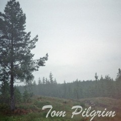 Tom Pilgrim - On The Wire