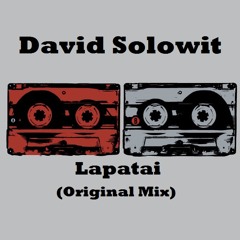 David Solowit - Lapatai (Original Mix) Animal Code Records