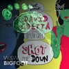 David Guetta ft. Skylar Grey vs. W&W - Shot me Bigfoot (Solla & Perru Edit)