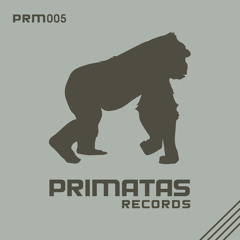 Art in Motion - Leave me Alone (Lucas Rosa Remix)