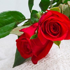 Gulabi - www.Webmusic.IN