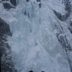 Cp WINTER motions MIX for Coyote Howls blog.