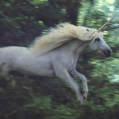 Bad Unicorn
