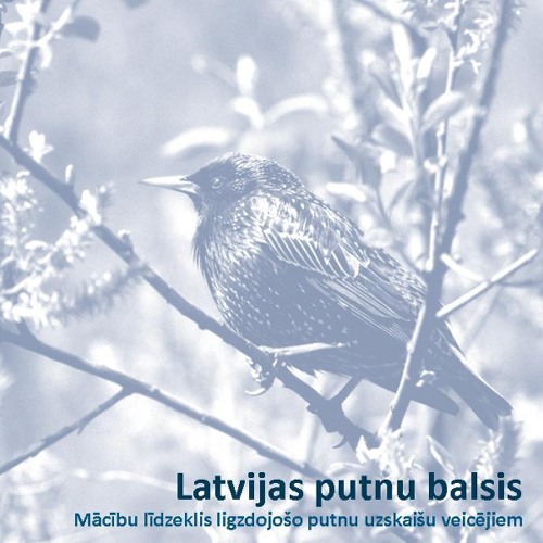 10 visbiežāk ligzdojošās putnu sugas Latvijā