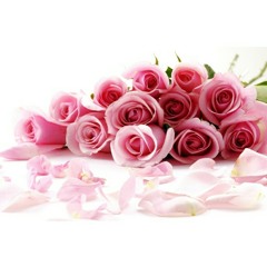 valentine . martina mcbride (cover by me)