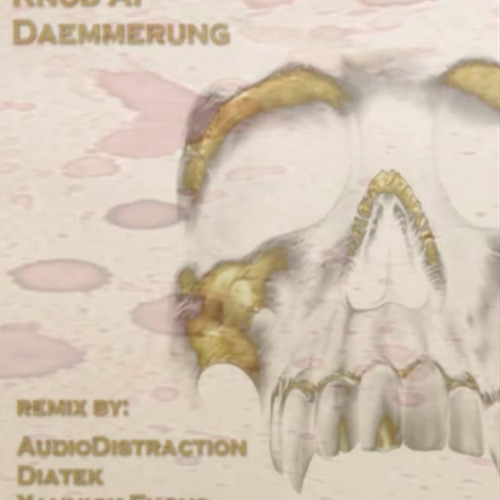 Knod AP-Dämmerung(AudioDistraction Remix)Preview
