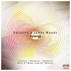 Dallonte & James Woods - Synergy (Skyknock Remix)