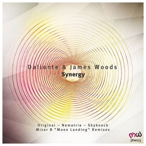 Dallonte & James Woods - Synergy (Skyknock Remix)
