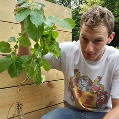 Bentham's Farm – growing food at UCL