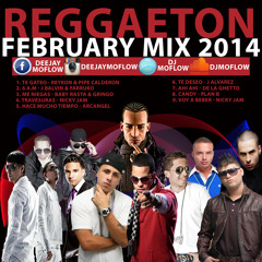 Dj MoFLow - Reggaeton Mix - Feb 2014