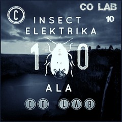 Co.Lab 10 - Insect Elektrika (Cze) & ALA (Cze)