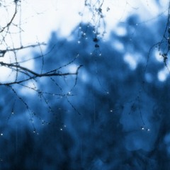 Blue Monday (Milana Zilnik With Land Of ORZ)