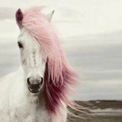 မဆိုင္သလိုပဲ - Big Bag