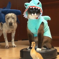 Oceans - [Featuring Jennifer Phillips]