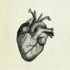 SOUL BLUES & ROCK N' LOVE