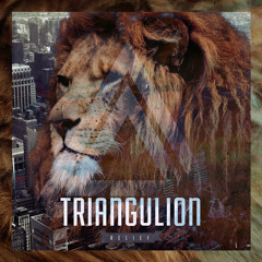 TRIANGULION - Relief