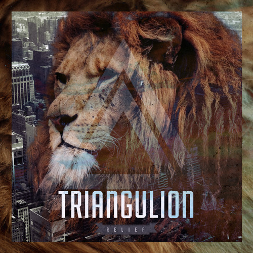 TRIANGULION - Relief