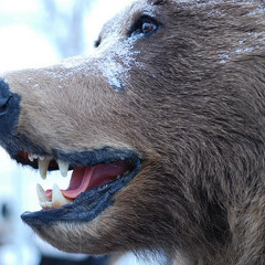 Shit That I Live For