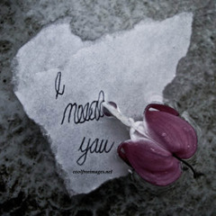 I need you