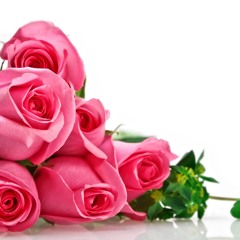 Harana - Parokya ni Edgar (Cover)