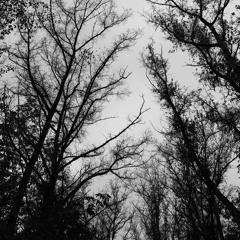 When Death Comes