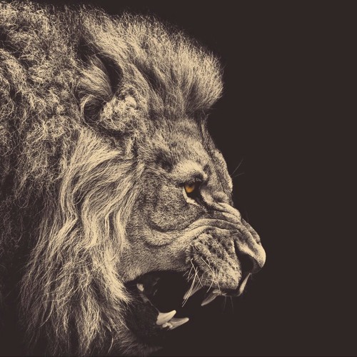 Cayan [Prod. By SLTR/Mixed By DRK]