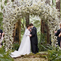 Flightless Bird American Mouth - Breaking Dawn Soundtrack