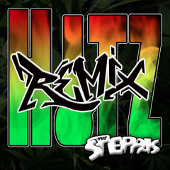 Hitz Remix Ft. Angry Locals