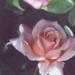 you've got 48'48 minutes to valentine me (vol. 2)