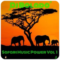 Safari Music Power Vol 1 Mix By Dj Bolado