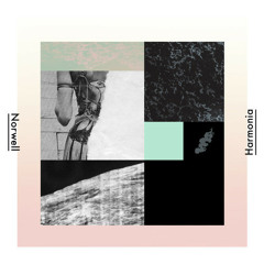 Norwell - Mute Swans (original mix)