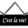Sheb Khaled - C Est La Vie - Hamid El Shari Style