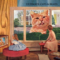ULTIMATE CATS & BEATS (2/22 ハバねこポッセフェスティバル2014)