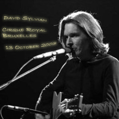 DAVID SYLVIAN "World Citizen" (live in Bruxelles, 13 Ottobre 2003)