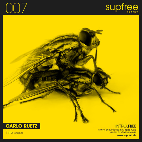 Intro - Carlo Ruetz .original [supfree 007]