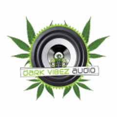 Information - Fresh Talent LP - Dark Vibez Audio