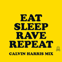 Eat, Sleep, Rave, Repeat (Calvin Harris Remix)