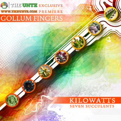 KiloWatts - Gollum Fingers [EXCLUSIVE PREMIERE]