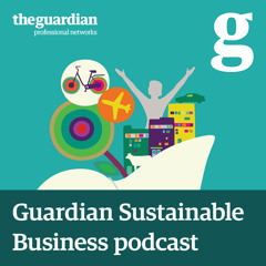 Guardian Sustainable Business: Big Data
