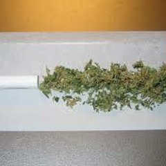 Dr.Dre ft. Snoop Dogg - Smoke Weed Everyday (Depox & Kylo Remix) [ FREE DOWNLOAD]