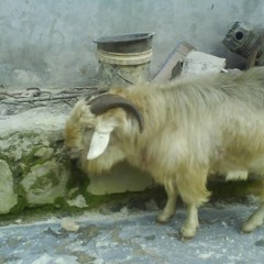 Turn your lights down low (Bob Marley)