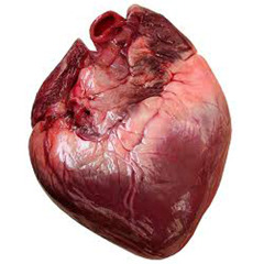 Te Propongo Amarme - DoktorMan (Fucking Rec - Independiente Musik)