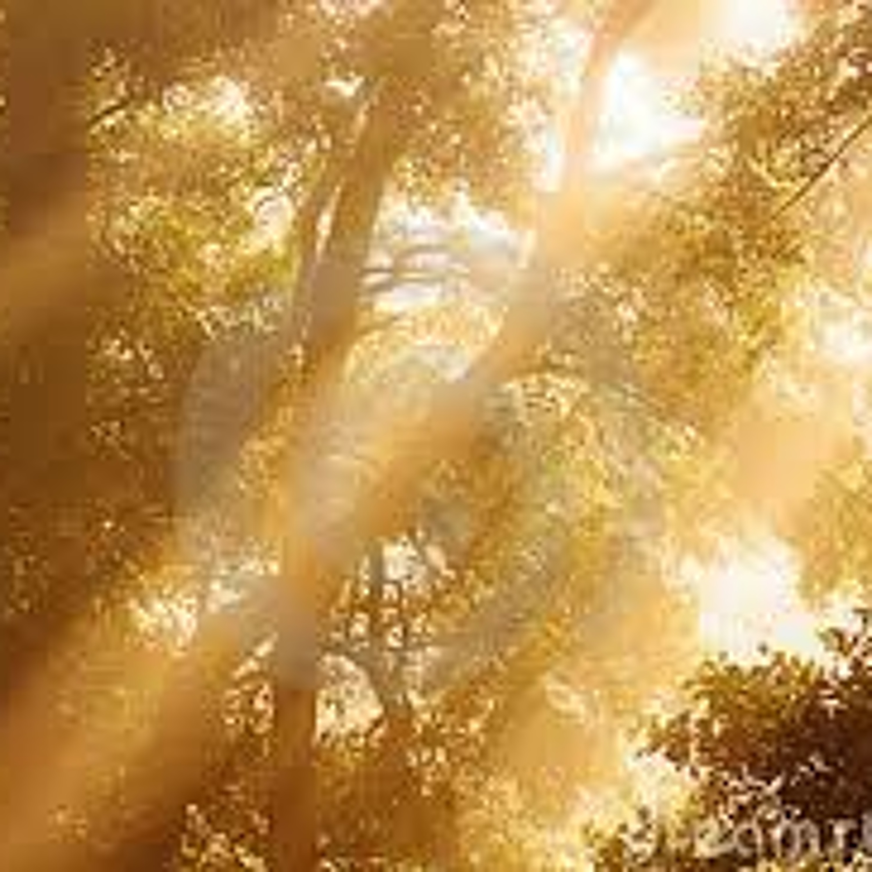 Piano Simple and Honest