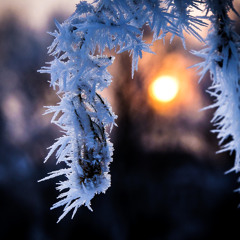 Through the eyes of the snowman