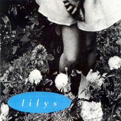 Lilys - February Fourteenth