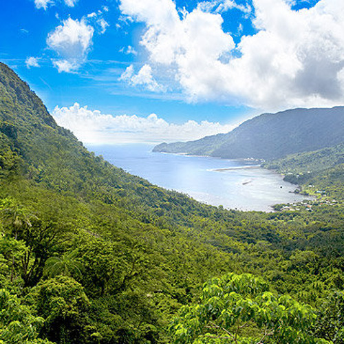 Pauga Ta'i Logoipule - Pe'a