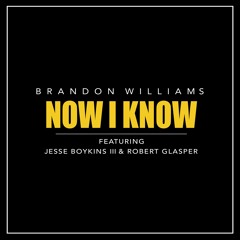 Brandon Williams - Now I Know feat. Jesse Boykins III & Robert Glasper