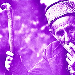 Disko Partizani Remix