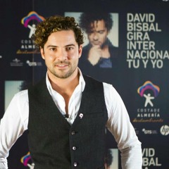DAVID BISBAL