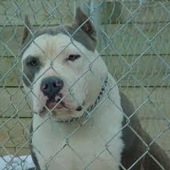 my goons feat king david (atl)